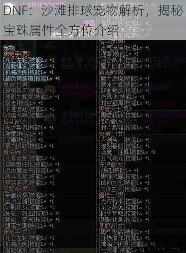 DNF：沙滩排球宠物解析，揭秘宝珠属性全方位介绍